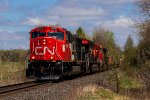 CN 8319
